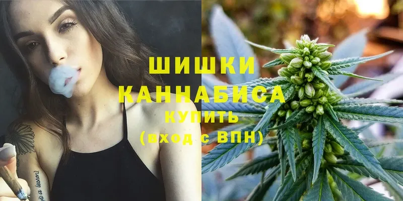 Марихуана сатива  Куйбышев 